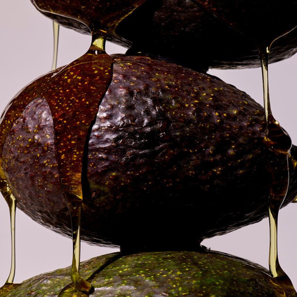 Bioactive Avocado Oil