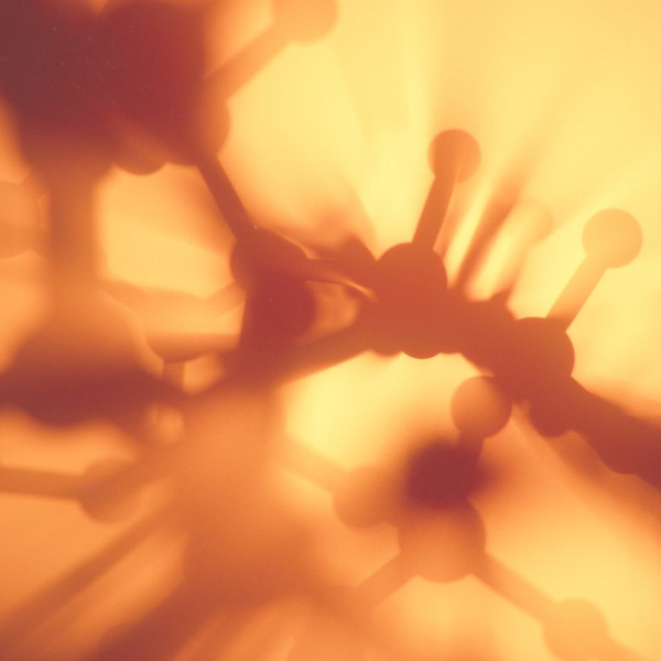 Bioactive Orange Extract